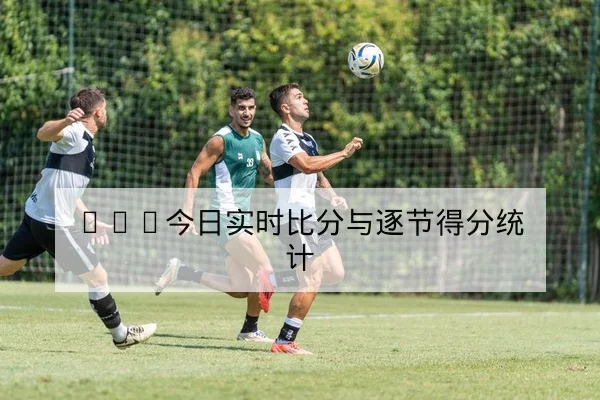 CBA轮换与替补上场效率数据查询